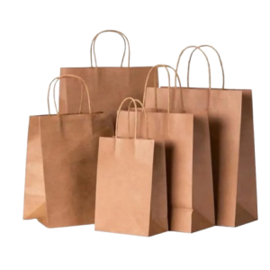 SACOLA PAPEL KRAFT 23,5X10X31,5 C/10 UNIDADES